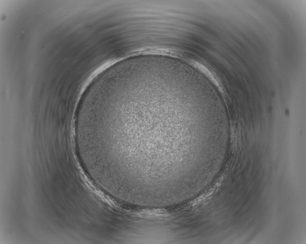 X0000085001133200703191043