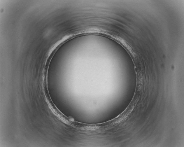 X0000085001134200703191043