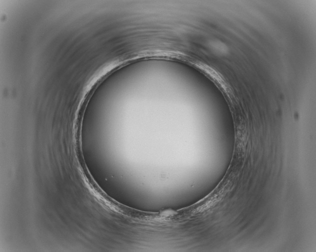 X0000085001135200703191043