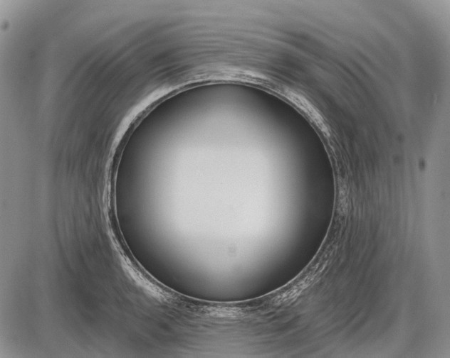 X0000085001136200703191043