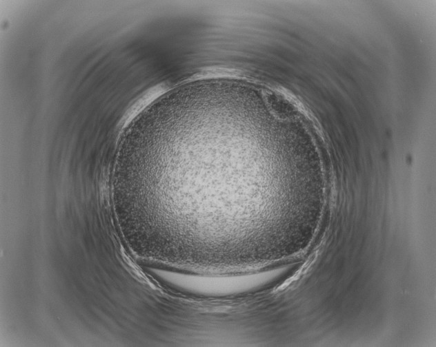 X0000085001137200703191043