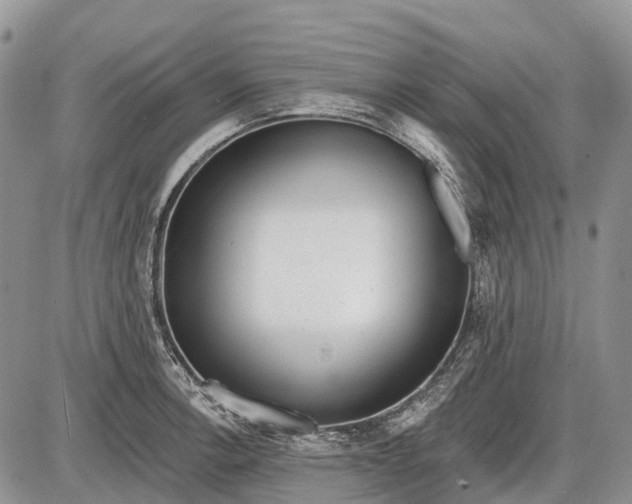 X0000085001138200703191043