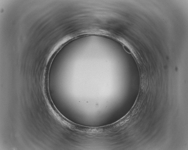 X0000085001139200703191043