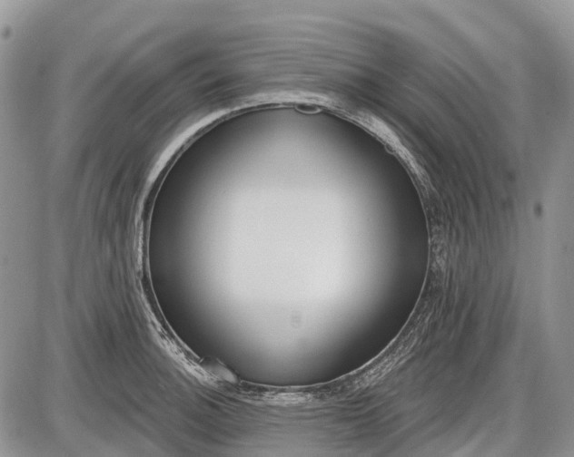 X0000085001140200703191043