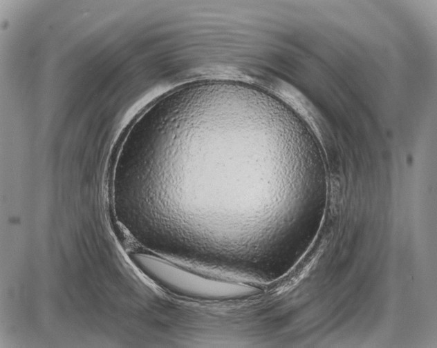 X0000085001141200703191043