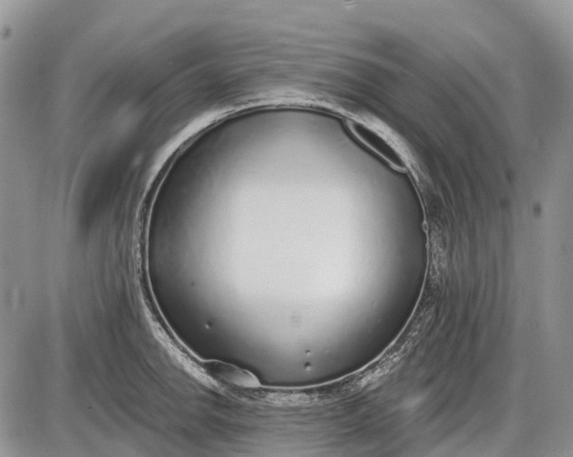 X0000085001142200703191043