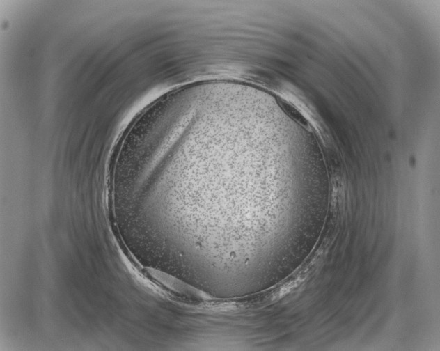 X0000085001143200703191043