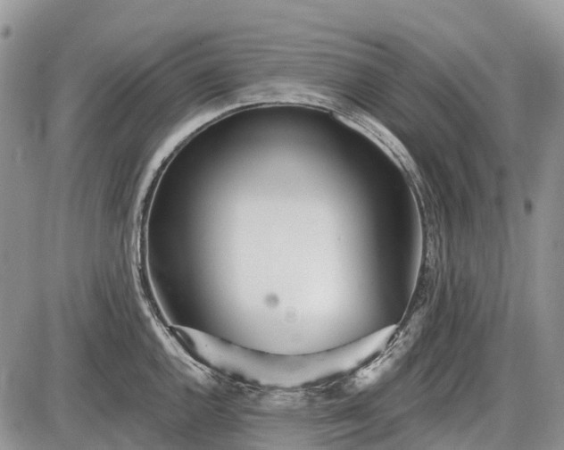 X0000085001144200703191043