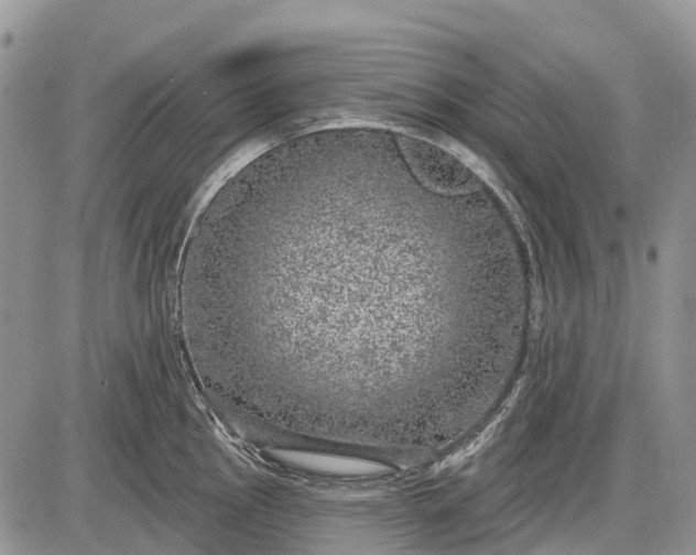 X0000085001145200703191043