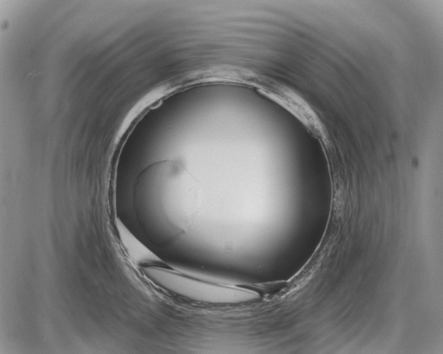 X0000085001146200703191043