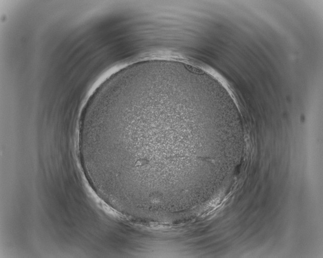 X0000085001147200703191043