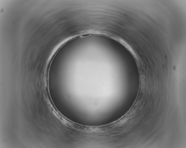 X0000085001148200703191043