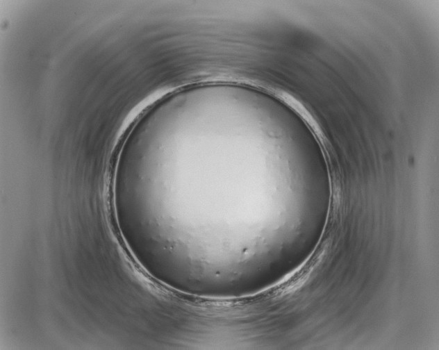 X0000085001149200703191043