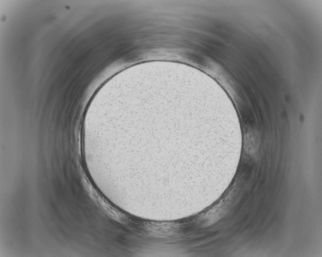 X0000085001150200703191043