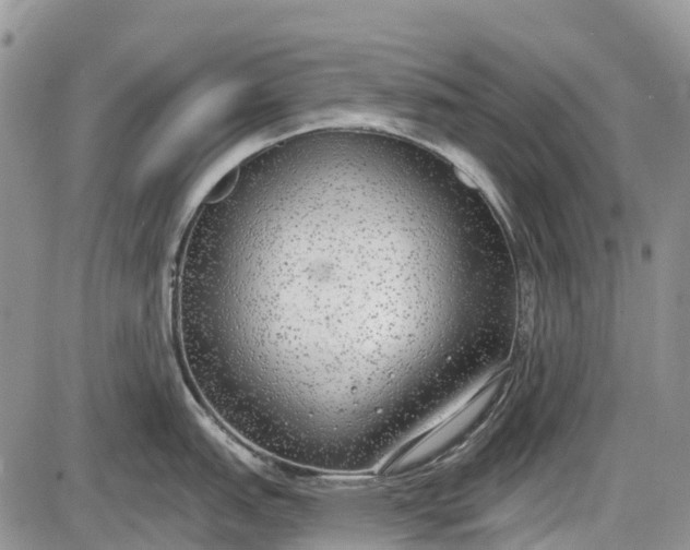 X0000085001151200703191043