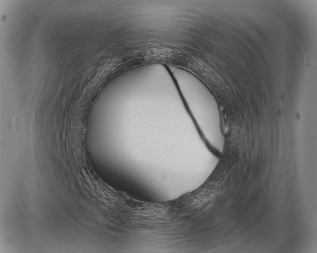 X0000085001153200703191042