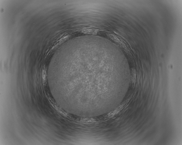 X0000085001154200703191042