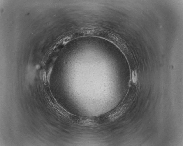 X0000085001155200703191042