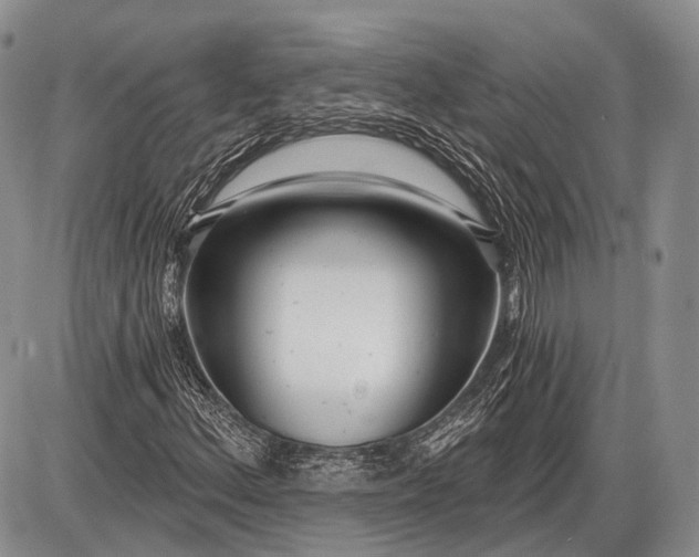 X0000085001156200703191042