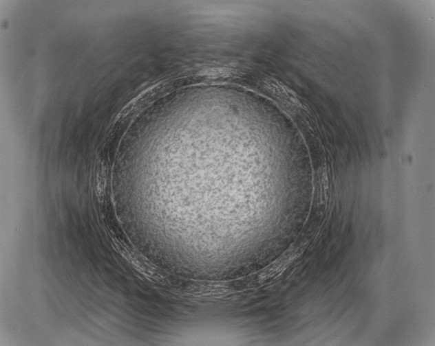 X0000085001158200703191042