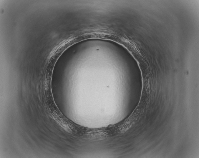 X0000085001159200703191042