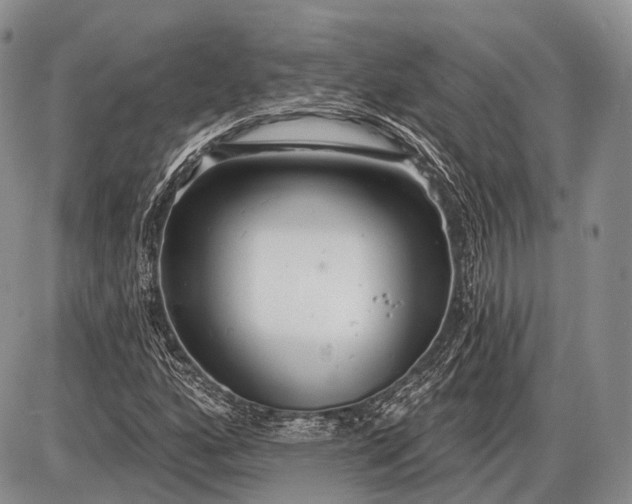 X0000085001160200703191042