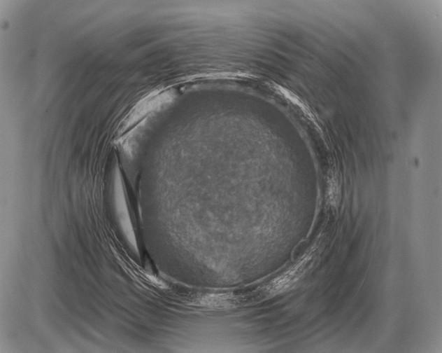 X0000085001161200703191042