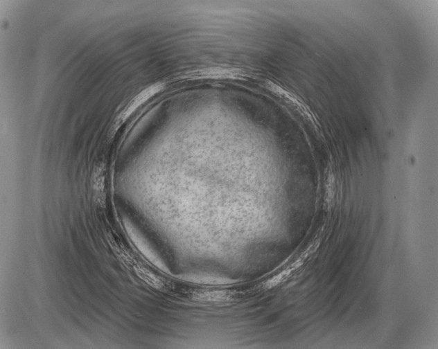 X0000085001162200703191042