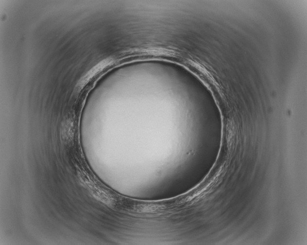 X0000085001163200703191042