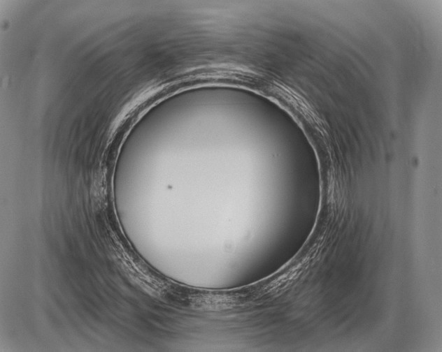 X0000085001164200703191042