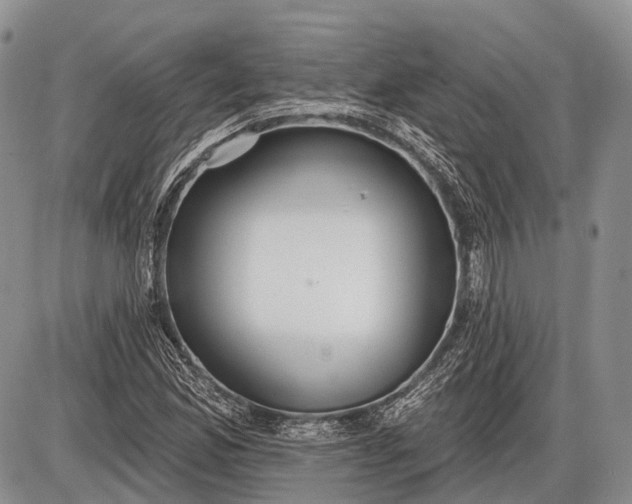 X0000085001165200703191042