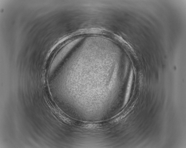 X0000085001166200703191042