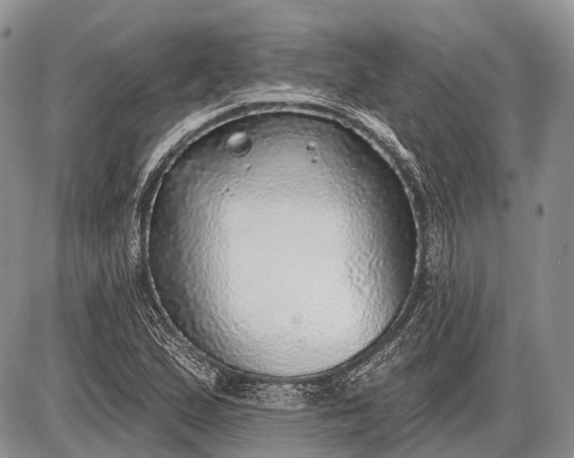 X0000085001167200703191042