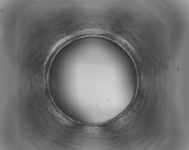 X0000085001168200703191042