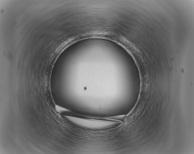 X0000085001169200703191042