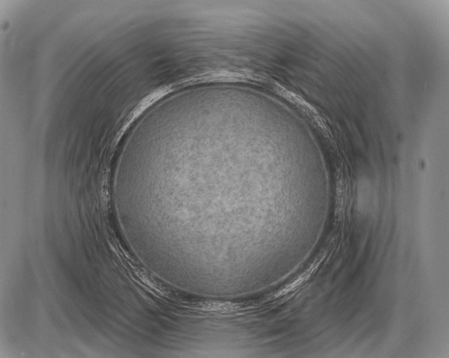 X0000085001170200703191042