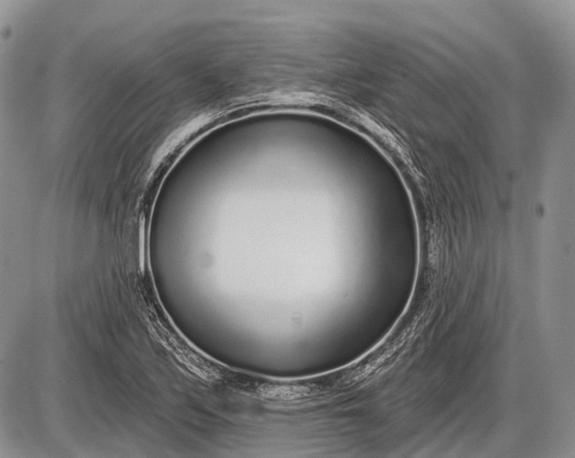 X0000085001171200703191042