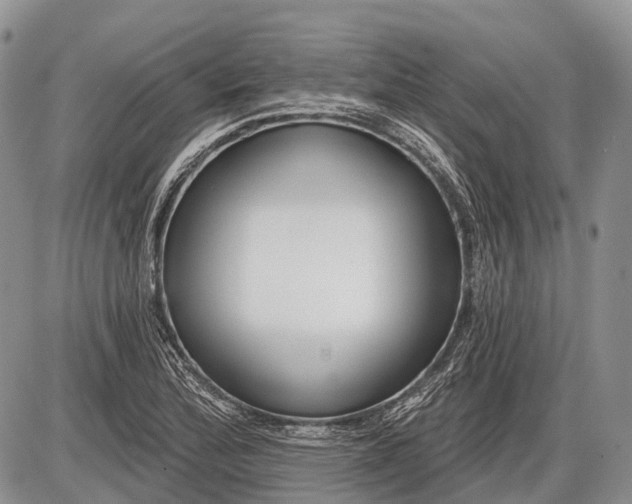 X0000085001172200703191042