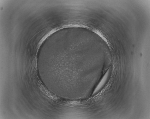 X0000085001173200703191042