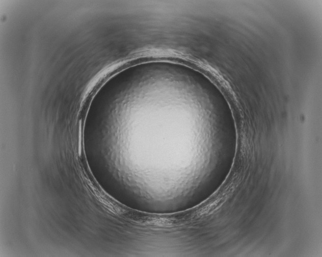 X0000085001175200703191042