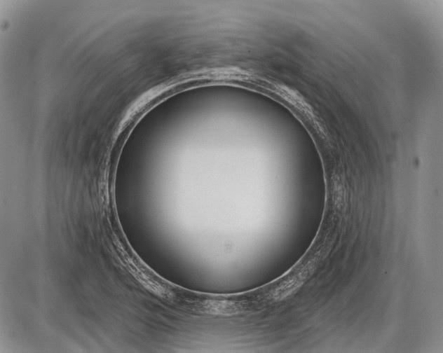 X0000085001176200703191042