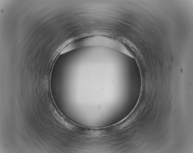 X0000085001177200703191042