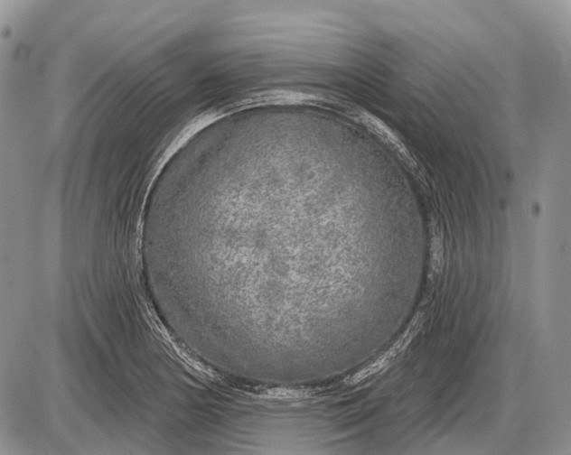 X0000085001178200703191042