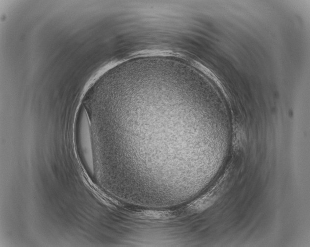 X0000085001179200703191042