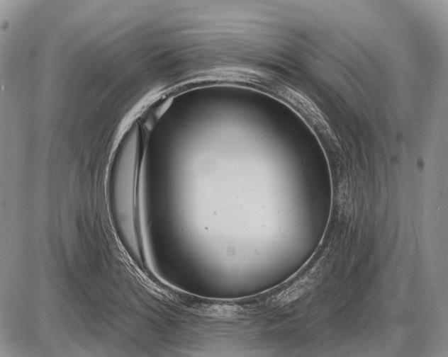 X0000085001180200703191042