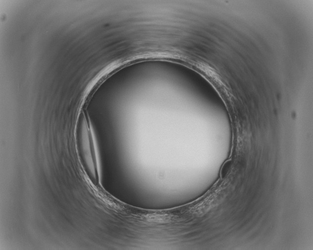 X0000085001181200703191042