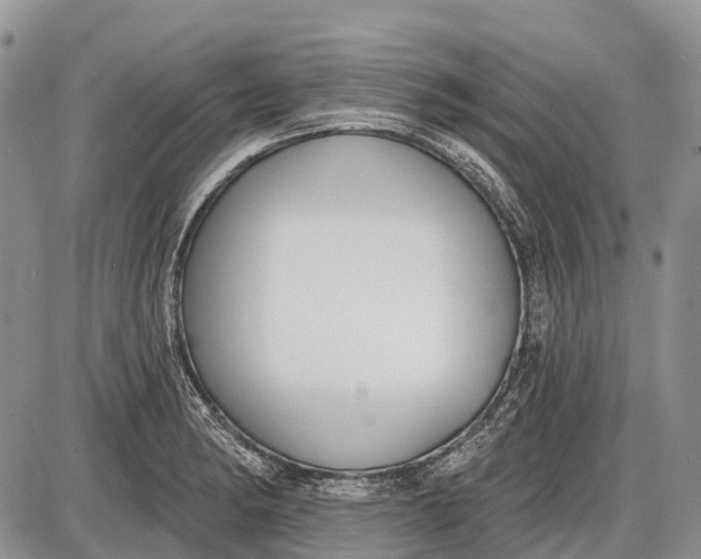 X0000085001182200703191042