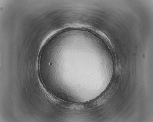 X0000085001183200703191042