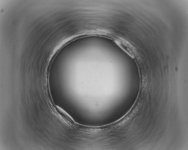 X0000085001184200703191042