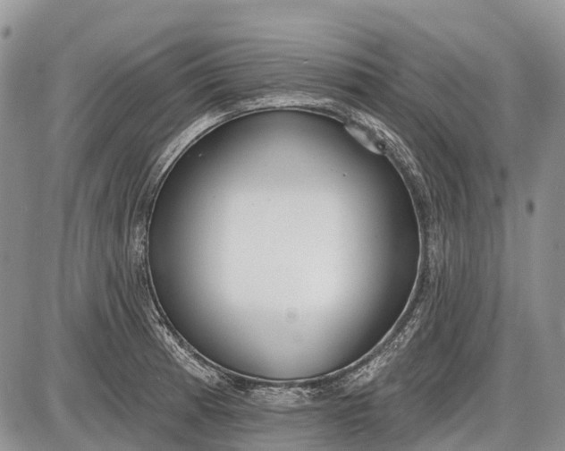 X0000085001185200703191042